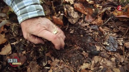 13h15 le dimanche. Agriculture : moins on travaille la terre est plus elle est fertile