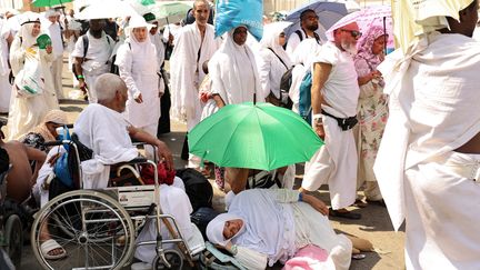 Des pèlerins musulmans le 16 juin 2024 à Mina, près de La Mecque, lors du grand pèlerinage. (FADEL SENNA / AFP)