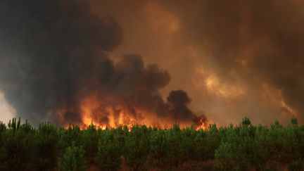 Un incendie sur la commune de Belin-Béliet (Gironde), le 10 août 2022. (FABIEN COTTEREAU / MAXPPP)