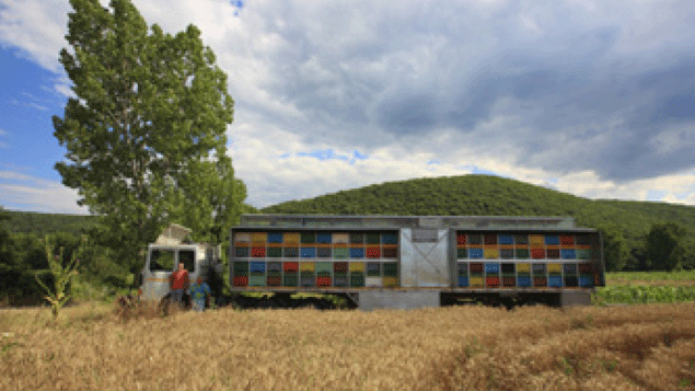 &nbsp; (Etape sur la route pour ces abeilles en transhumance qui peuvent aller batifoler de champ en champ. © Géo Eric Tourneret)