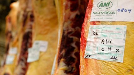 Carcasses de cheval dans un abattoir en Belgique le 22 f&eacute;vrier 2013.&nbsp; (VIRGINIE LEFOUR / BELGA / AFP)