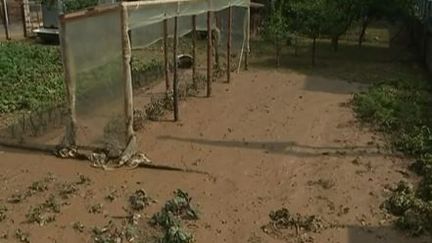 Haut-Rhin : plusieurs dizaines de communes traversées par les orages