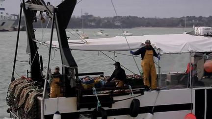 Licences de pêche : les pêcheurs français résignés face à la situation. (FRANCEINFO)