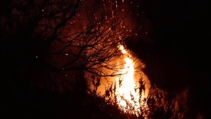 Pyrénées-Orientales : deux nouveaux incendies qui inquiètent avant la saison estivale (France 2)