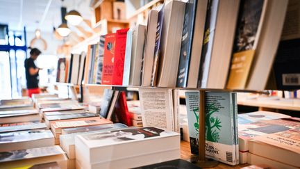 Des livres de la rentrée littéraire dans les rayonnages d'une librairie de Bourges, le 21 août 2024. (PIERRICK DELOBELLE / MAXPPP)