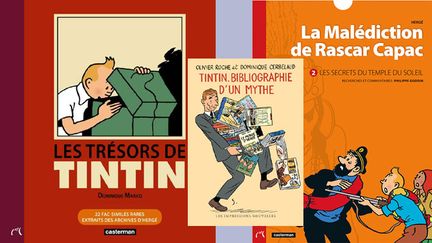 &nbsp; (Tintin, ses trésors, ses secrets et sa littérature secondaire © Hergé, Casterman / Stanislas, Les Impressions nouvelles / Hergé, Casterman)