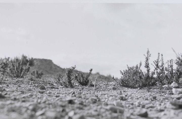 Lewis Baltz (né en 1945). A Fos-sur-Mer. Mission photographique de la DATAR, 1986
 (DATAR - BnF, Estampes et photographie)