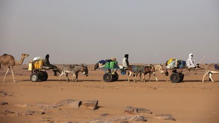 Les transports se font essentiellement grâce aux ânes dans le région du Sahel. Photo prise à Agadez au nord du Niger en septembre 2013.&nbsp;&nbsp; (JOE PENNEY / X02952)