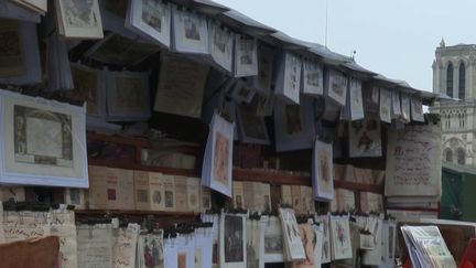 Paris : la relève des bouquinistes se fait attendre