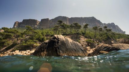 Fermeture des bars et restaurants : crainte et incompréhension à Cassis