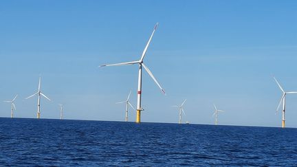 L'avenir du déploiement des éoliennes en mer en jeu devant le Sénat, le 2 novembre 2022 (photo d'illustration : parc éolien du Croisic, en Loire-Atlantique). (HELENE ROUSSEL / RADIO FRANCE)