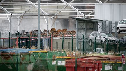 Des fûts endommagés dans l'usine de Lubrizol, à Rouen, le 11 octobre 2019.&nbsp; (LOU BENOIST / AFP)