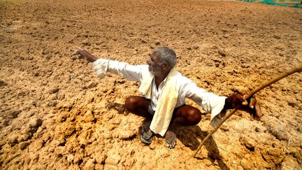 La sécheresse en Inde désespère ujn paysan, à Mysuru. (S NAGENDRA / THE TIMES OF INDIA)