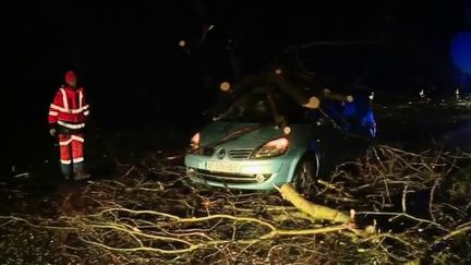 Tempête Ciara : des transports très perturbés en raison des fortes rafales de vent