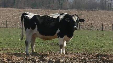 Ils seraient 25 000 à attendre le versement d'aides européennes pour leurs exploitations bio. Trois d'entre eux ont déposé plainte contre l'État. (CAPTURE D'ÉCRAN FRANCE 3)