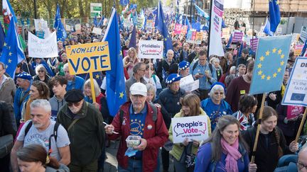 Des manifestants à Londres le 19 octobre contre le Brexit.&nbsp; (JUSTIN NG / MAXPPP)