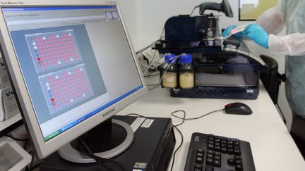 Un&nbsp;technicien isole un fragment d'un prélèvement d'ADN, le 12 octobre 2007 dans les locaux du Service central d'analyse génétique de la gendarmerie (SCAGGEND) à Cergy-Pontoise. (MEHDI FEDOUACH / AFP)