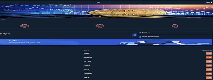 Capture d’écran du site frauduleux de trading en ligne utilisé par Sarah. (CAPTURE D'ECRAN)