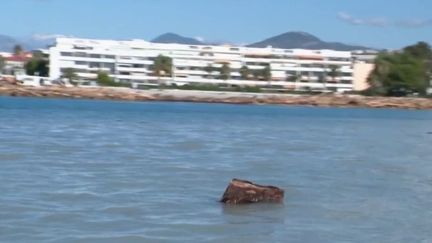 Alpes-Maritimes : la Méditerranée jonchée de bois après les intempéries (France 2)