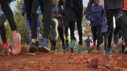 Kenya : terre de légende de la course de fond