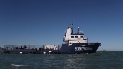 Un bateau de l'ONG Sea Sheperd. (Photo d'illustration). (S?SHENKA GUTI?RREZ / EFE)