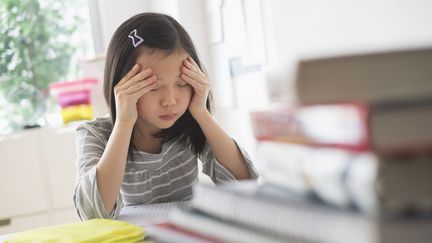 “Il n'y a aucune famille d’enfant précoce pour qui tout a toujours fonctionné dans la scolarité”, affirme Alexandra Reynaud,&nbsp;auteure du blog et du livre "Les Tribulations d’un petit zèbre". (Photo d'illustration) (GETTY IMAGES / BLEND IMAGES)