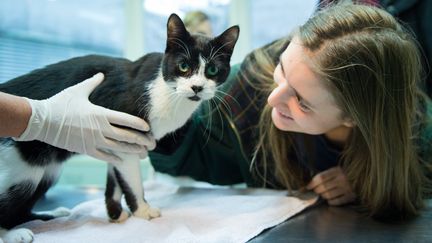 Elena Hanke et le chat Miko, le 26 décembre, à Berlin. (BERND VON JUTRCZENKA / DPA)