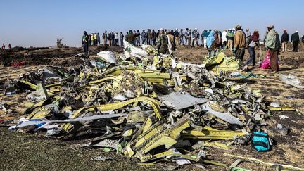 Le site du crash d'un avion de la compagnie Ethiopia Airlines, à l'est d'Addis-Abeba (Ethiopie), le 10 mars 2019.&nbsp; (MICHAEL TEWELDE / AFP)