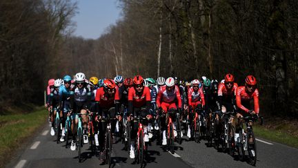 Le peloton de Paris-Nice 2021 dans la vallée de Chevreuse lors de la première étape le dimanche 7 mars (Anne-Christine POUJOULAT / AFP) (ANNE-CHRISTINE POUJOULAT / AFP)