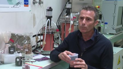 Thierry Maugard, professeur de biochimie et directeur de BCBS.&nbsp; (J. Bouchon / France Télévisions)