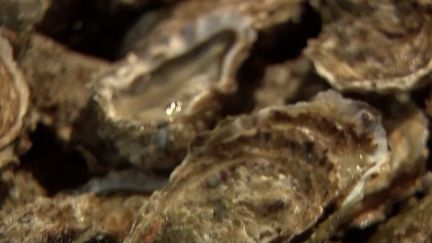 À trois jours du réveillon de la nouvelle année, les huîtres du bassin d’Arcachon ont été interdites à la vente. Pour cause, un norovirus a provoqué plusieurs cas d’intoxications alimentaires ces derniers jours. (France 3)