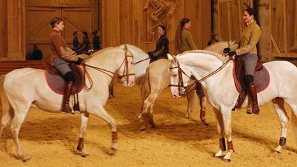 &quot;La Voie de l&#039;écuyer&quot; à l&#039;Académie du spectacle équestre de Versailles
 (BERTRAND GUAY / AFP)