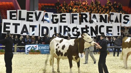 Des éleveurs affichent leur mécontentement lors d'un concours bovin au Salon de l'agriculture, le 28 février 2016 à Paris. (DOMINIQUE FAGET / AFP)