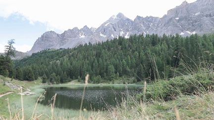 Hautes-Alpes : le parc naturel régional du Queyras attire de plus en plus de visiteurs