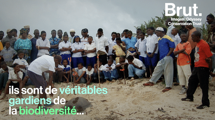 80 % des écosystèmes les plus riches sont habités par des peuples indigènes. Julie Garnier, cofondatrice de l'ONG Odyssey Conservation Trust, les aide à protéger cette biodiversité.