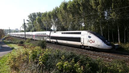 Un TGV Sncf sur la liaison Paris-Toulouse (illustration), le 24 septembre 2021. (SEBASTIEN LAPEYRERE / HANS LUCAS)