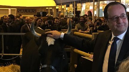 François Hollande a inauguré le Salon de l'agriculture, samedi 25 février 2017, à Paris.&nbsp; (ELISABETH DE POURQUERY / FRANCEINFO)