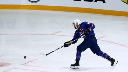 L'équipe de France de hockey en action (?THIERRY LARRET / MAXPPP)