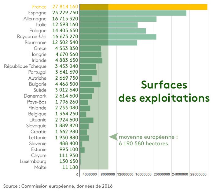 Surfaces des exploitations&nbsp;en Europe en 2016 (STEPHANIE BERLU / RADIO FRANCE)