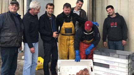 &nbsp;La coquille Saint-Jacques : ouverture de la pêche depuis le 1er octobre.&nbsp;&nbsp; (Laurent Mariotte / Radio France)