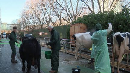 Agriculture : un Salon très attendu par les éleveurs, mais terni par la hausse du prix du blé