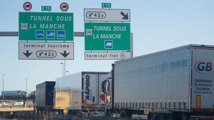 File de camions sur l'A16 à Calais, le 5 mars 2019 (illustration). (JOHAN BEN AZZOUZ / MAXPPP)