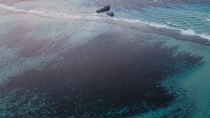 Le MV Wakashio et les traces de pollution dans le récif, le 17 août 2020 dans la baie de Marine Park, à Maurice. (AFP)