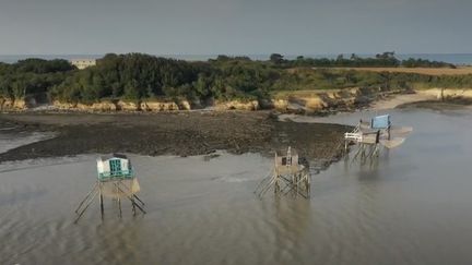 Charente-Maritime : les carrelets, des cabanes de pêcheur perchées sur l'eau