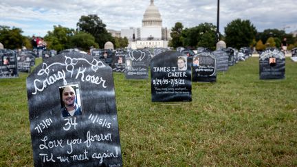 Des pancartes en hommage aux victimes d'overdoses d'opioïdes sont installées sur une pelouse au pied du Congrès américain, à Washington (Etats-Unis), le 24 septembre 2022. (ALLISON BAILEY / NURPHOTO / AFP)