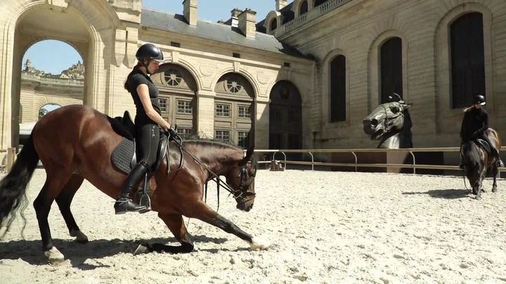 Séance d'entrainement aux Grandes Ecuries du château de Chantilly. (L. Bazizin / France Télévisions)