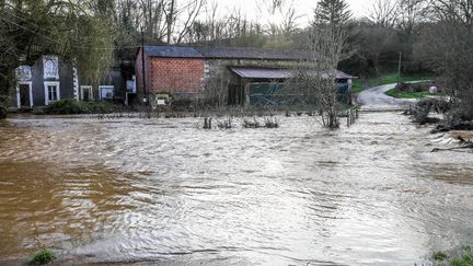 Le Chambon en crue à Saint-Georges-de-Noisné (Deux-Sèvres), le 22 février 2024. (MAXPPP)