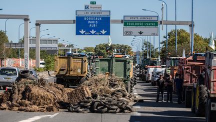 Des agriculteurs venus de la région Occitanie bloquent la rocade de Toulouse, le 8 octobre 2019. (FREDERIC SCHEIBER / HANS LUCAS / AFP)