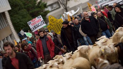 Une manifestation d'&eacute;leveurs organis&eacute;e en d&eacute;cembre 2014 &agrave; Privas (Ard&egrave;che). (CITIZENSIDE/CHRISTOPHE ESTASSY)