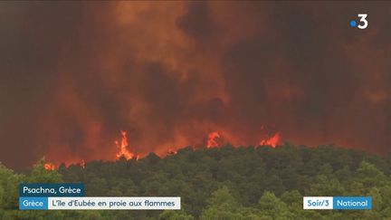 L'île grecque d'Eubée en proie aux flammes (France 3)